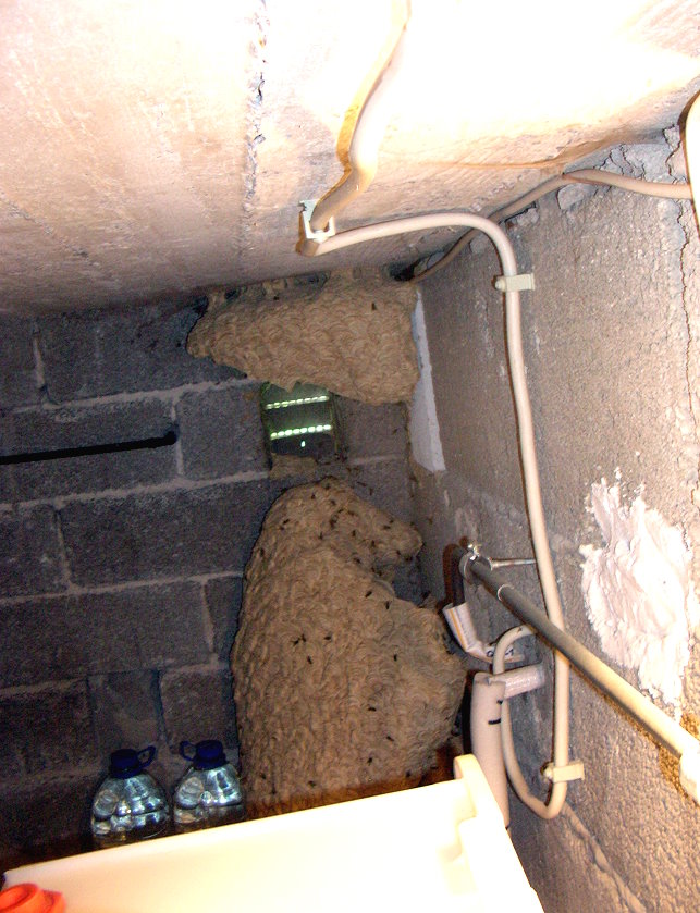 D. Schroeder (c) 2011